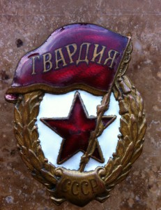 Гвардия МТХ