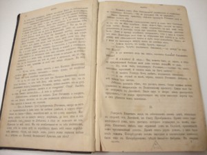1882г.  ИДИОТ. Ф.М.Достоевский.