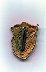 Почётный член ВДПО