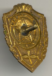 Отличник ВВС.
