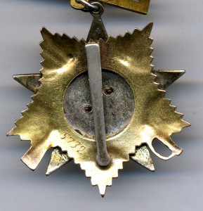 О. В. - 1ст. №5732. Подвесная с заколкой.