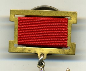 О. В. - 1ст. №5732. Подвесная с заколкой.