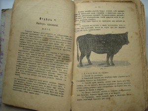 А.Елагина. Хозяйка. Экономка.