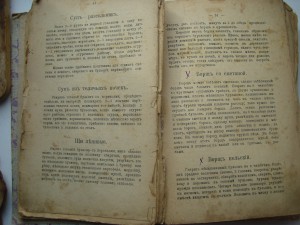 А.Елагина. Хозяйка. Экономка.