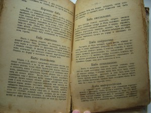 А.Елагина. Хозяйка. Экономка.