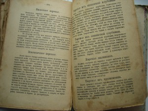 А.Елагина. Хозяйка. Экономка.