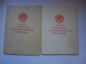 Доки на Вену и Будапешт на одного,военкоматовские.