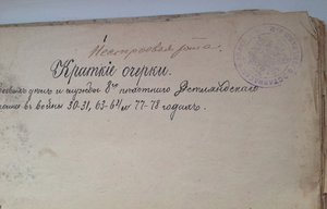 Очерки боевых дел 8-пех.Эстляндского полка Штабс-кап. Плутов