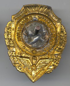 Отличник авиации.
