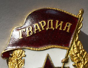 Гвардия (военная). Состояние.