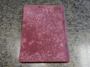 БКЗ 333279 с ДОКУМЕНТОМ