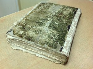 Полугодовая подписка Нивы за 1906 год+1895 годовая БОНУСом