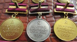 ВДНХ винт и заколка