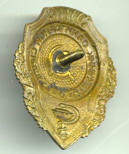Отличник санитарной службы.