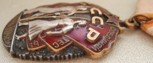 Знак Почёта с документом. Диапазон "веточек"