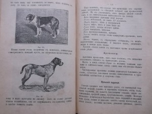 Полная школа охоты по перу и зверю 1896 г