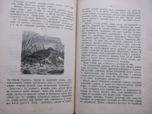 Полная школа охоты по перу и зверю 1896 г
