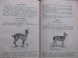 Полная школа охоты по перу и зверю 1896 г