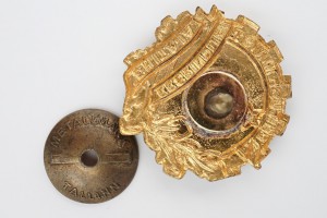 Отличный Строитель Эстонской ССР редкий знак.