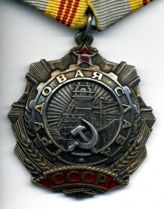 Трудовая Слава - 3ст. №1041. Документ.