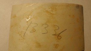 Буденный, Ворошилов, Уншлихт