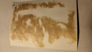 БКЗ РФ Сергей Каменев