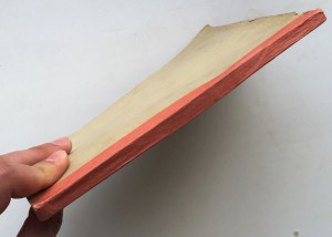 Книга про грязевые ванны 1893г.