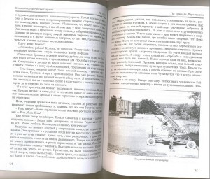 КЗ на женщину с доком