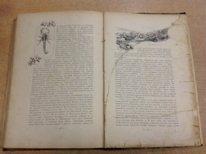 По Бълу-Свъту Доктора Елисеева 1895 годъ