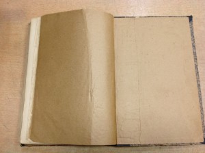 По Бълу-Свъту Доктора Елисеева 1895 годъ