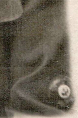 Фотографии по теме: << Милиция >>