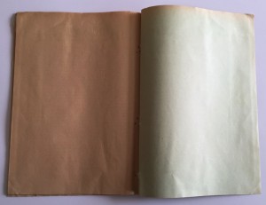ИНВАЛИДНЫЙ ДОМ ИМПЕРАТОРА АЛЕКСАНДРА-II 1913 ГОДЪ.