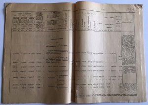 ИНВАЛИДНЫЙ ДОМ ИМПЕРАТОРА АЛЕКСАНДРА-II 1913 ГОДЪ.