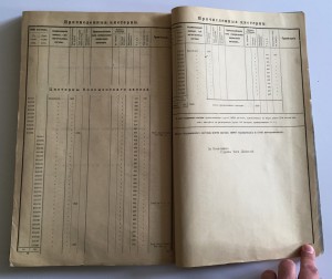 Здоровенная книга "ИНВЕНТАРЬ ТОВАРНАГО СОСТАВА 1905 ГОДЪ".