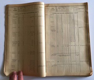 Здоровенная книга "ИНВЕНТАРЬ ТОВАРНАГО СОСТАВА 1905 ГОДЪ".