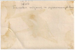 Полковые рукопашники РККА