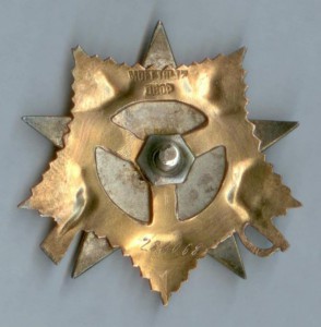 OВ1 286.068 на ОК - посмертно за ТИГР