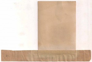 Командир боевого отряда против Юденича