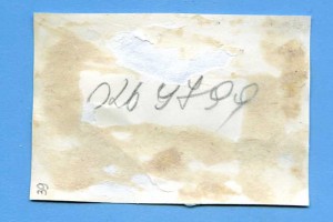 Маршал Советского Союза Семён Михайлович Будённый.