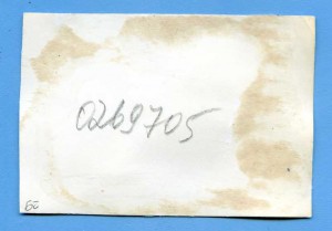 К.Е.Ворошилов в авто перед отъездом на манёвры.БВО.1937 г.