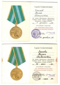 пара доков на Нечерноземье