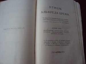 БРЭМ .Жизнь животных. Птицы.