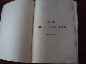 БРЭМ .Жизнь животных. Птицы.