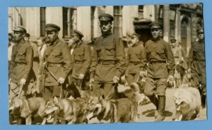 Прохождение расчётов со служебными собаками. 1930-е-1940-е г