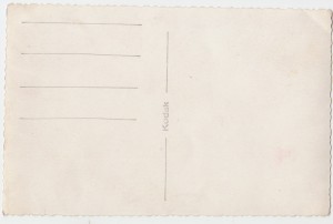 ГЕРОЙ летчик у своего боевого САМОЛЕТА