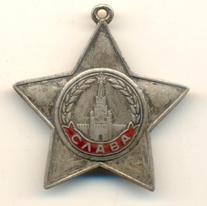 Слава №565541 бюджетная (3362)