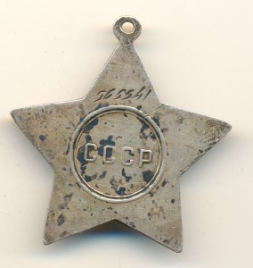 Слава №565541 бюджетная (3362)