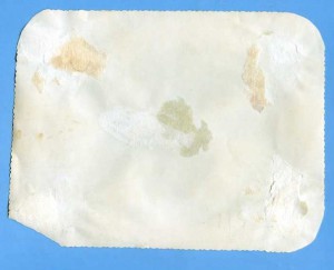 Группа работников милиции со служебными собаками.