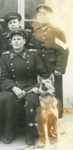 Группа работников милиции со служебными собаками.