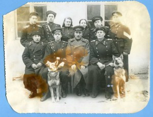 Группа работников милиции со служебными собаками.